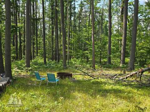 4216 Co Rd 489, Lewiston, MI 49756
