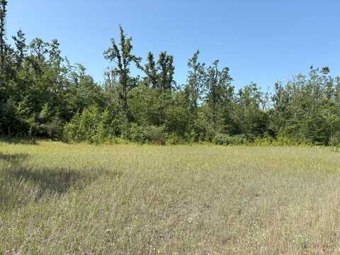 177 Acres Sawyer Road, Gaylord, MI 49735