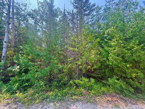 Timberway Drive lot: 73, Presque Isle, MI 49777