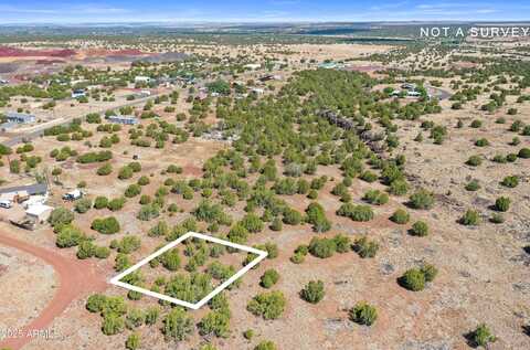8798 ROBBINS Place, Show Low, AZ 85901