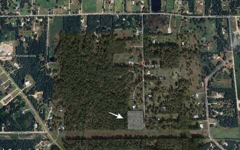 000 Angie Ln, Orange, TX 77630