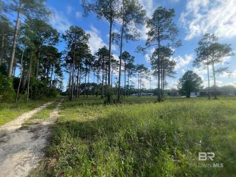 31870 Grafton Road, Lillian, AL 36549