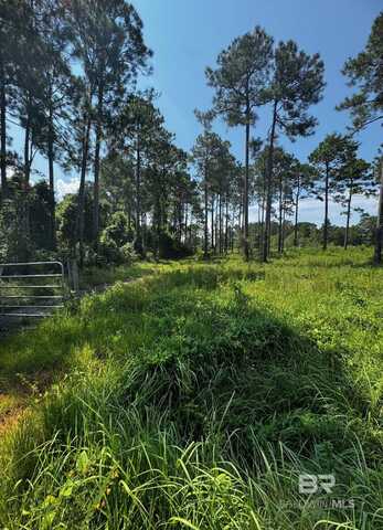 31870 Grafton Road, Lillian, AL 36549