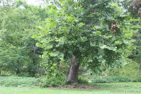 Pinkie Lane, Sunrise Beach, MO 65079