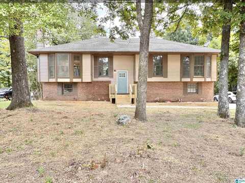 6043 RED HOLLOW ROAD, PINSON, AL 35215