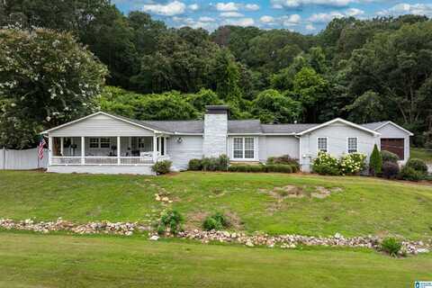 6559 US HIGHWAY 11, SPRINGVILLE, AL 35146