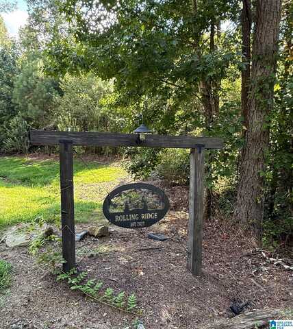 4540 MOUNTAIN VIEW ROAD, ODENVILLE, AL 35120