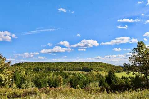 1980 COUNTY RT. 81, Rathbone, NY 14801