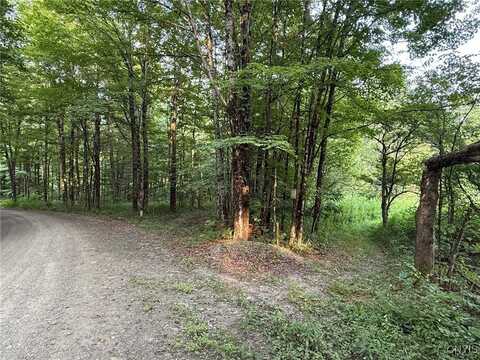 Dutch Hill Road, Cincinnatus, NY 13040