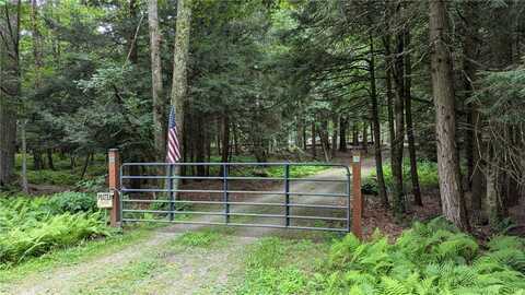 12.-2-11 Wood Road, Harpersfield, NY 12093
