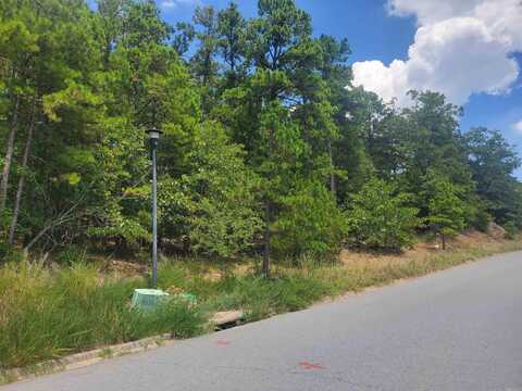 Maumelle Valley Estates Circle, Maumelle, AR 72113