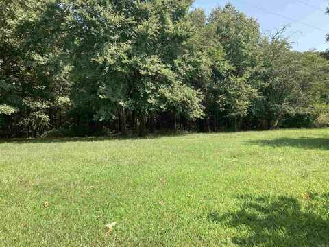 TBD Polk Road 136, Cove, AR 71953