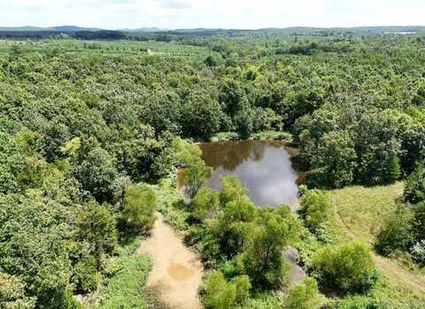 0 Polk Road 407, Cove, AR 71937