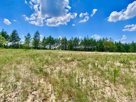 97 County Road 763, Sheridan, AR 72150