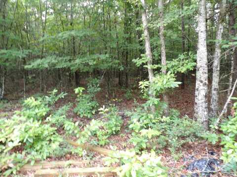 00 Green Field Road, Spencer, TN 38585