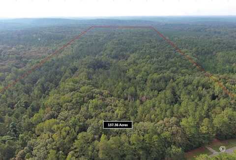 Lot Size 137.36 LOWER BLUE SPRINGS ROAD, HAMILTON, GA 31811