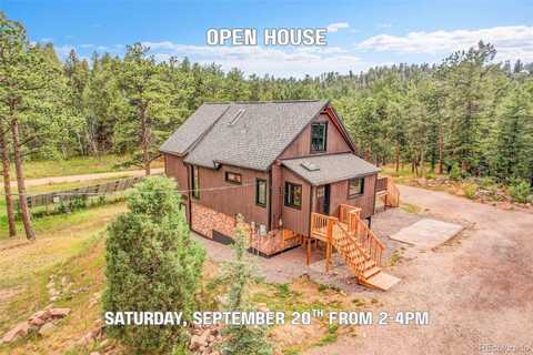 14034 S Wandcrest Drive, Pine, CO 80470