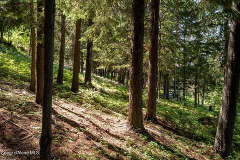 Nka Makridge Lane, Kingston, ID 83839
