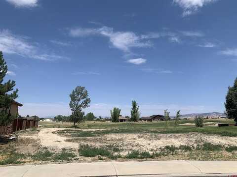 Lot 2305 Painted Wall Lane, Montrose, CO 81401