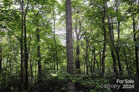 17 Wood Haven Lane unit: 111, Black Mountain, NC 28711