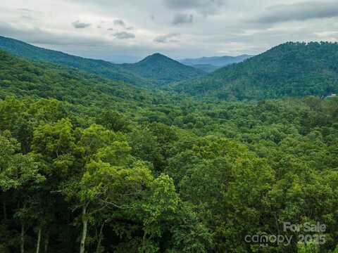 Summer Haven Road unit: 1-6, Swannanoa, NC 28778