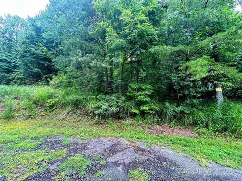 Azalea Way lot: 5, Saluda, NC 28773