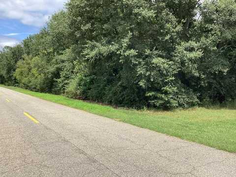 00 Suggs Road, Headland, AL 36345