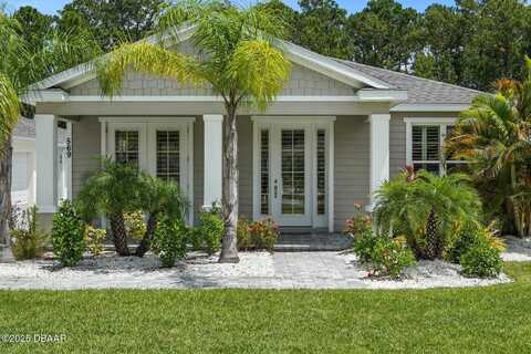 569 Venetian Palms Boulevard, New Smyrna Beach, FL 32168