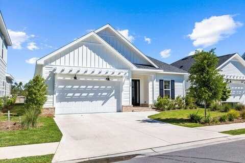 120 Suwannee Drive, Inlet Beach, FL 32461