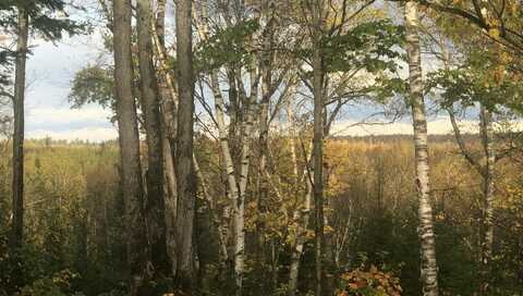 Lot 13 W Cedar DR, Muir, MI 49783