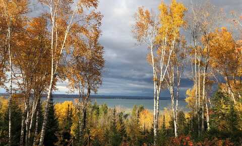 Lot 9 W Cedar DR, Muir, MI 49783