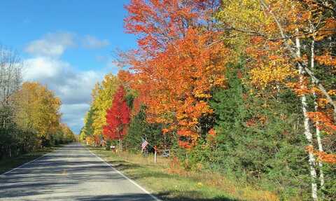 Lot 22 W Cedar DR, Muir, MI 49783