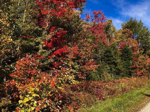 Lot 19 W Cedar DR, Muir, MI 49783