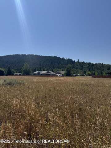630 SNAKE RIVER Drive, Alpine, WY 83128