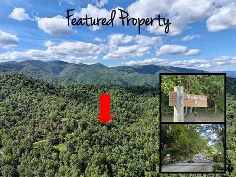 Winding Stairs, Topton, NC 28781