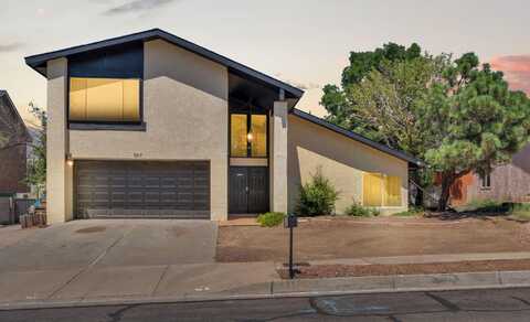 7317 VIVIAN Drive NE, Albuquerque, NM 87109