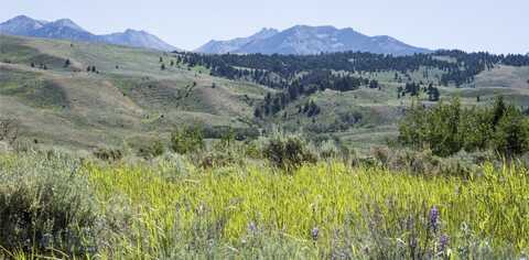 Sun West Ranch lot: 13, Cameron, MT 59720