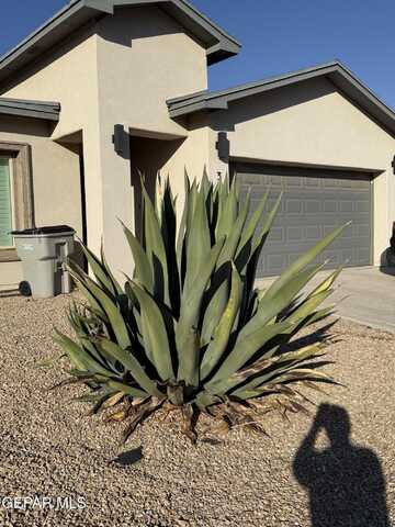 3460 DAVID PALACIO Drive, El Paso, TX 79938