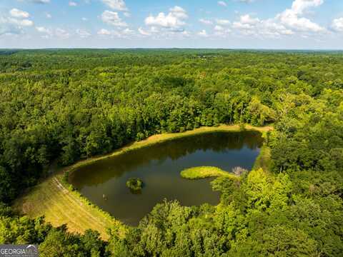 110 Acres Talbotton, Butler, GA 31006