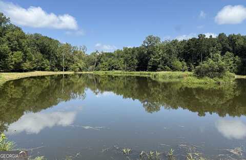 110 Acres Talbotton, Butler, GA 31006
