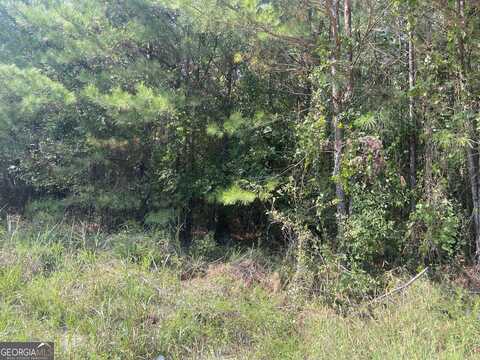 0 Saggus, Crawfordville, GA 30631
