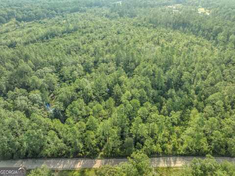 0 Rattler, Hortense, GA 31543