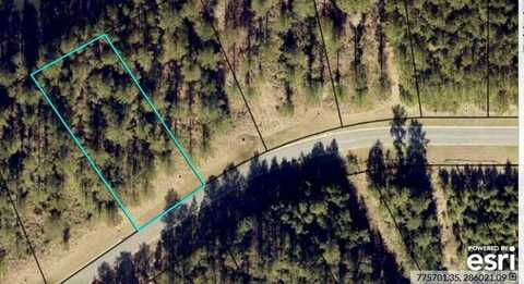 0 Shoreline Drive, Kingsland, GA 31548