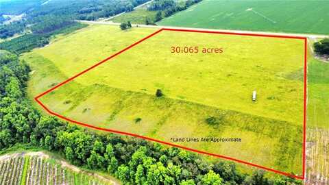 3690 N Highway 121, Blackshear, GA 31516
