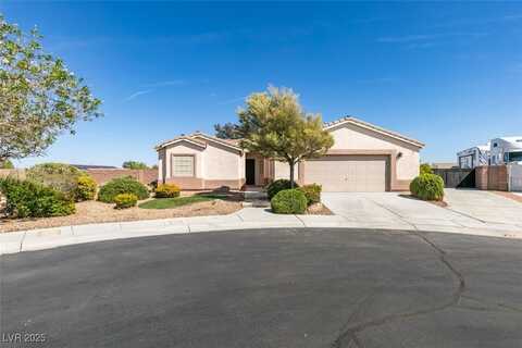 8219 Alameda Falls Avenue, Las Vegas, NV 89131