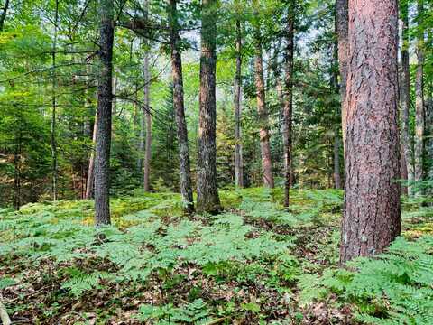 Lot 2 CARLSON RD, Land O Lakes, WI 54540