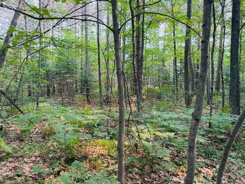 Lot 3 CARLSON RD, Land O Lakes, WI 54540