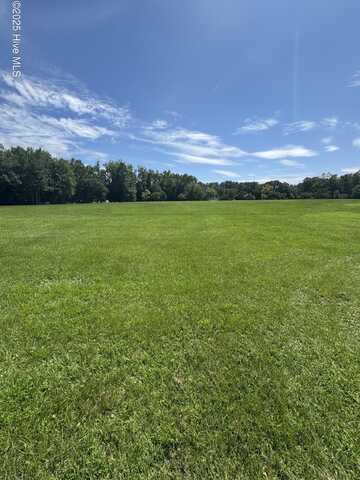 Lot 3 Branchwood Drive, Kinston, NC 28504