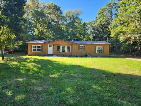 318 E Bellevue Street, Stanton, MI 48888
