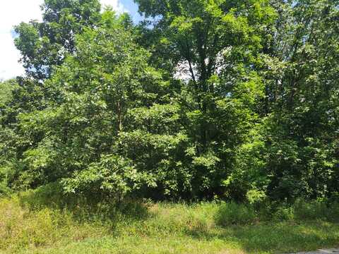 13227 Beckwith Drive NE, Lowell, MI 49331